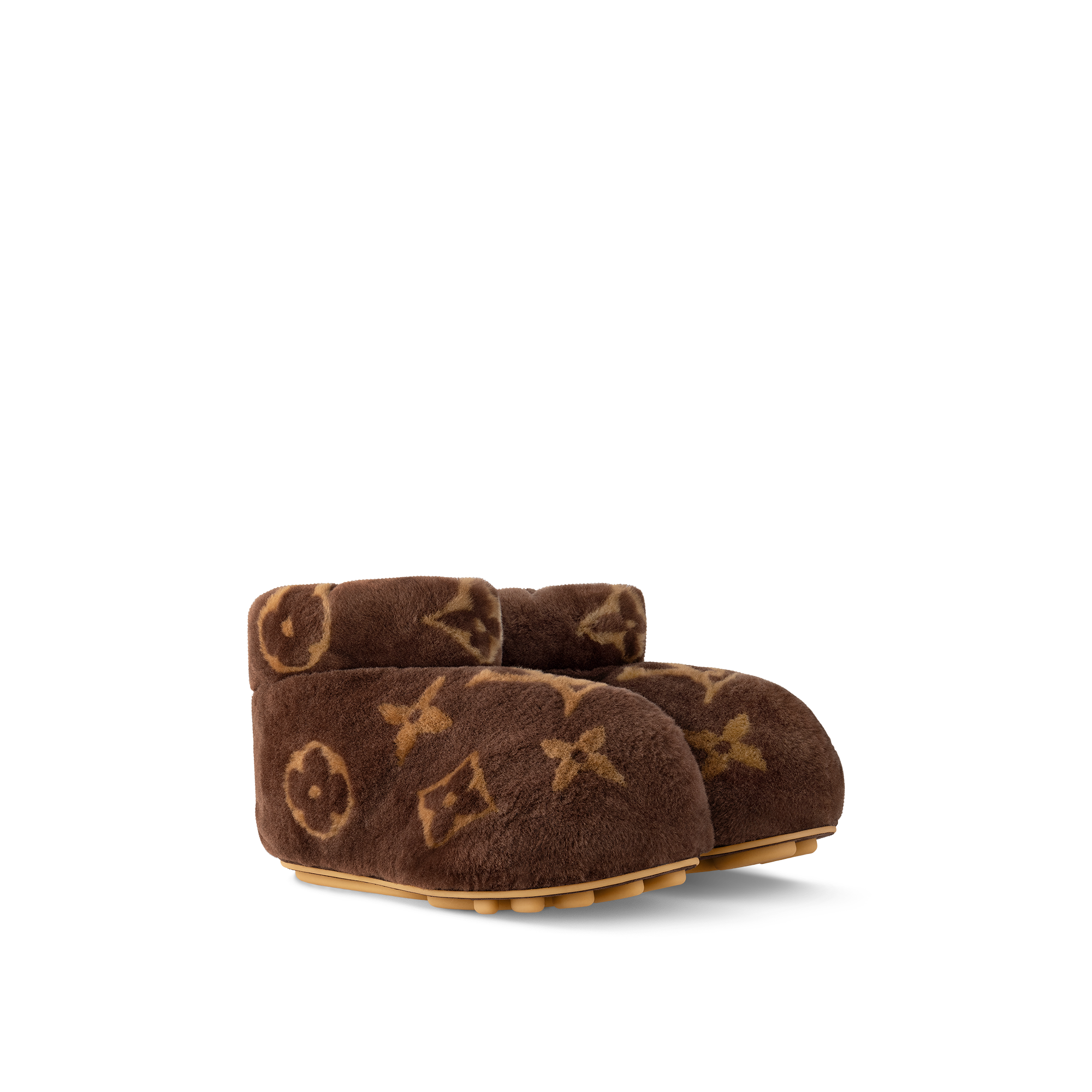 Louis vuitton dog store shoes